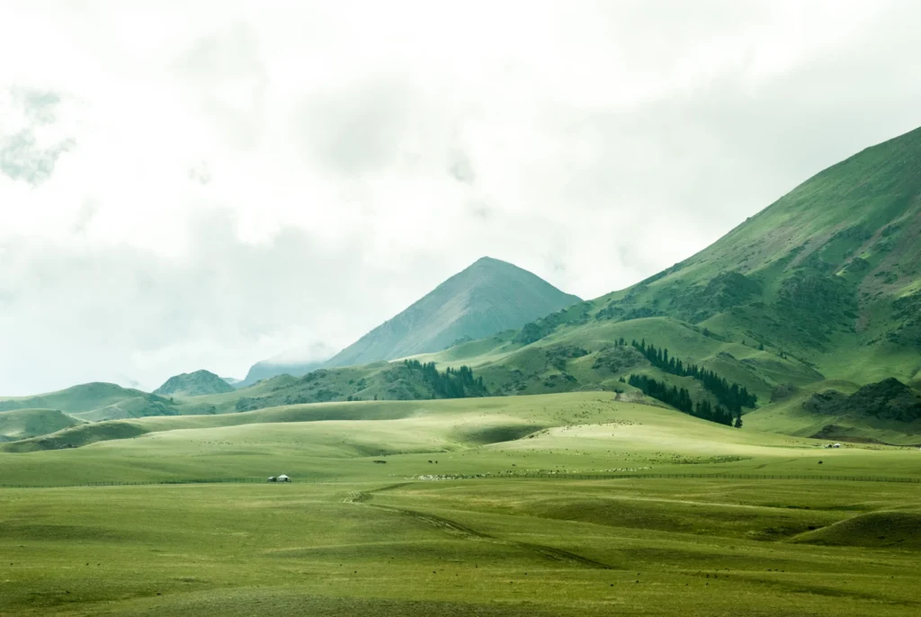 Open pasture beneath a mountain